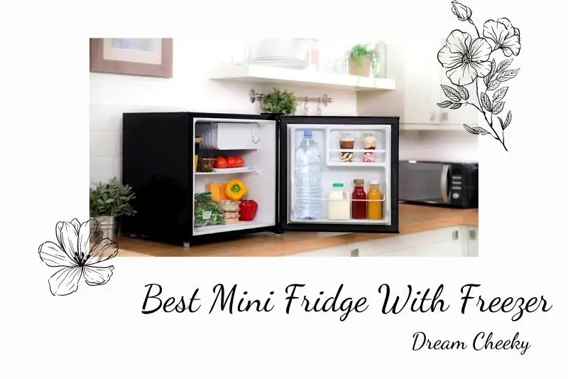 Best Mini Fridge With Freezer