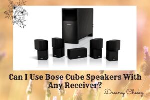 Can I Use Bose Cube Speakers With Any Receiver