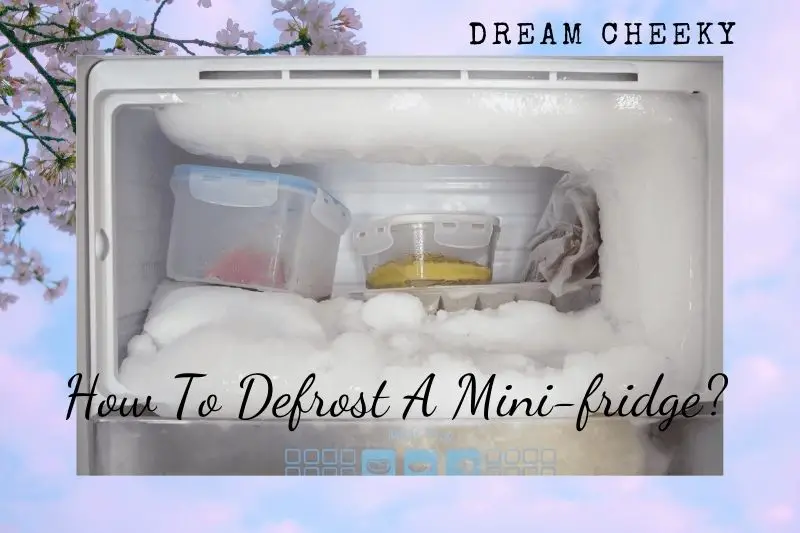 How To Defrost A Mini-fridge