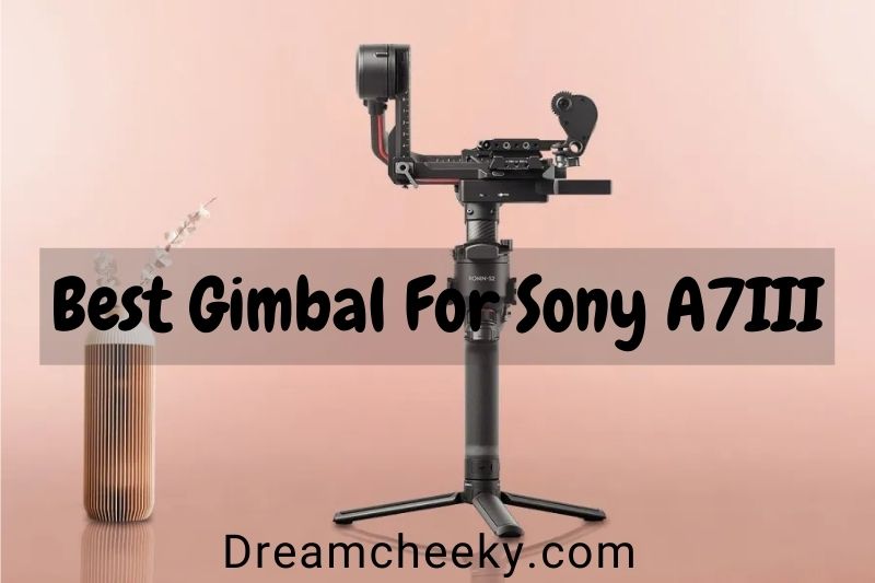Best Gimbal For Sony A7III: Top Brands Review 2022