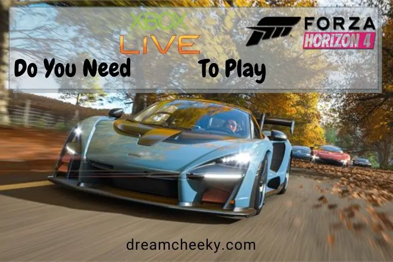 Do You Need Xbox Live To Play Forza Horizon 4 On PC?