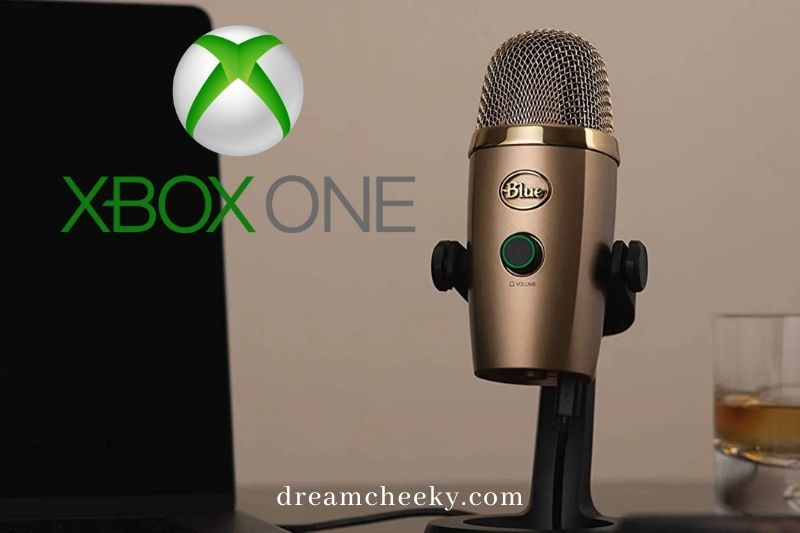 how to use a usb mic on xbox one