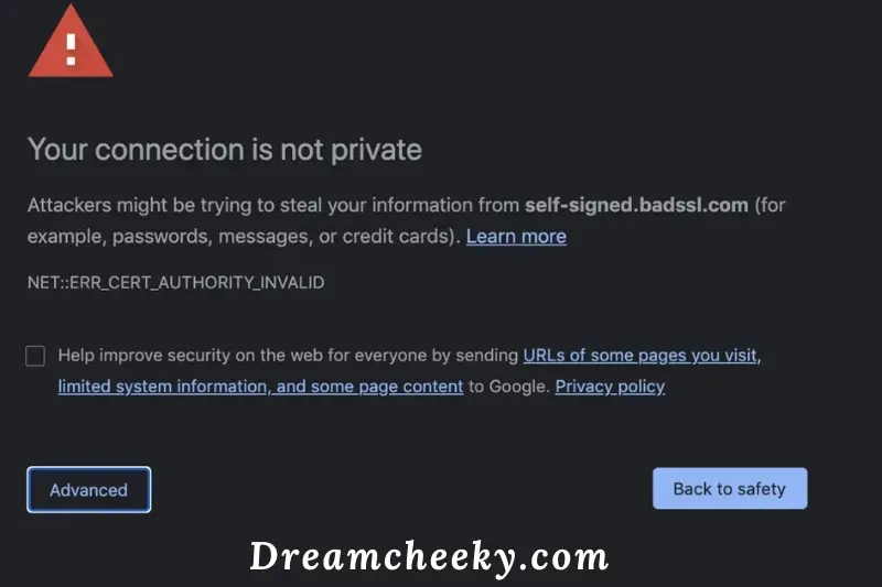 What Is The “Your connection is not private” Error