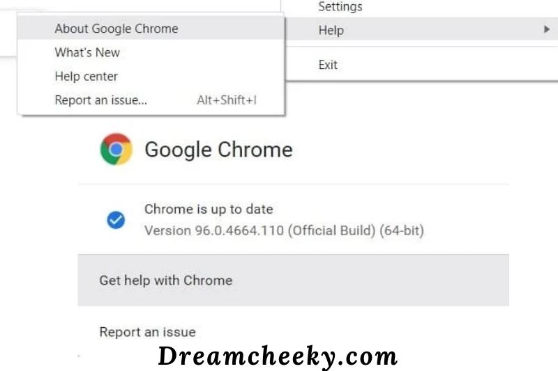 Update your web browser for google chrome