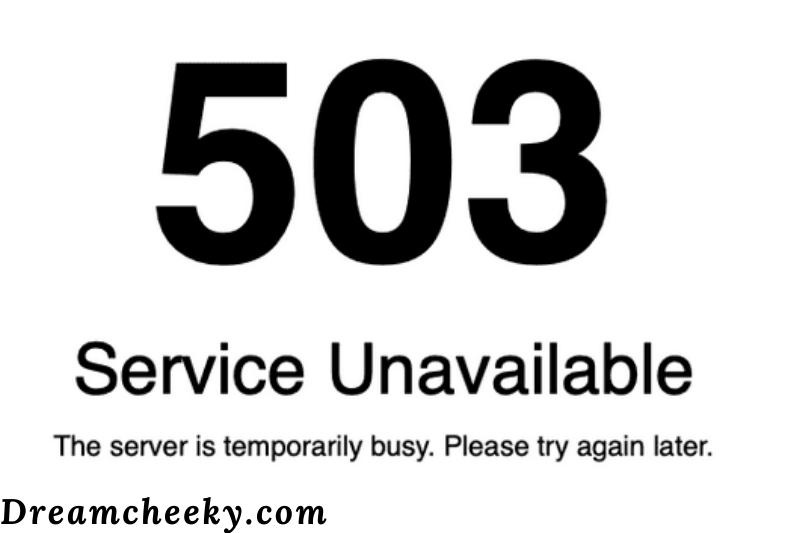 What does the 503 error code mean