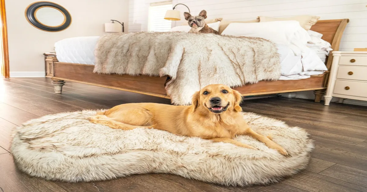 dog beds