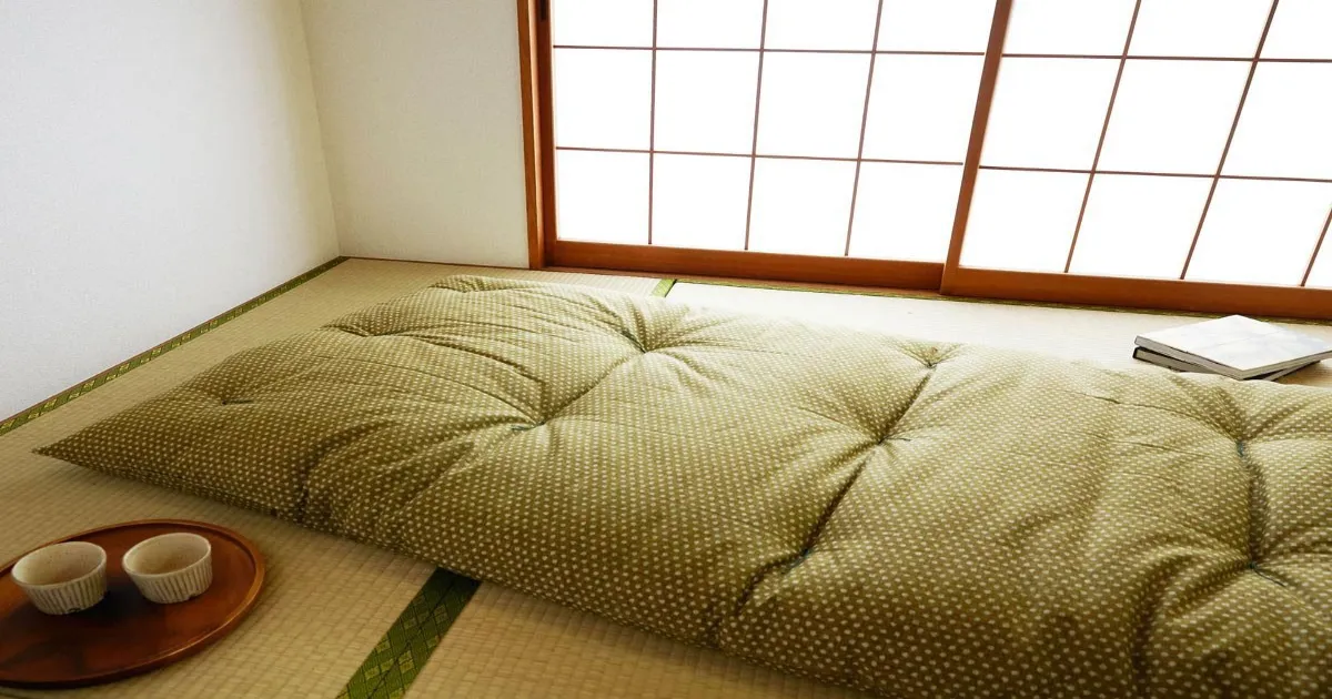 best most comfortable futon